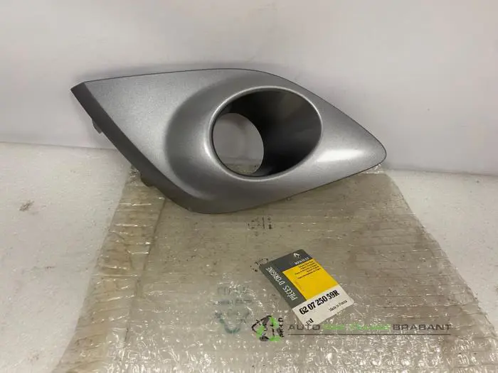 Stoßstangenrost Renault Scenic