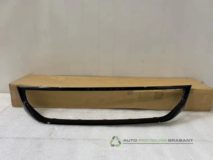 Grille Lijst Peugeot Partner