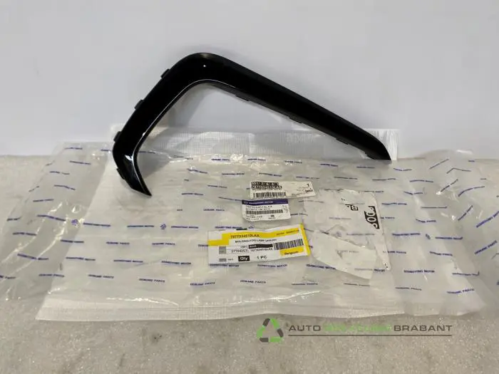 Afdekplaat mistlamp rechts Ssang Yong Korando