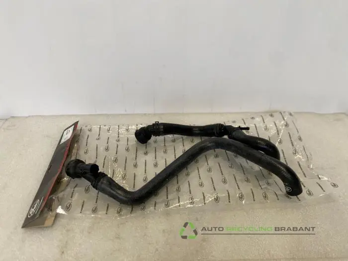 Radiateurslang Volkswagen Golf