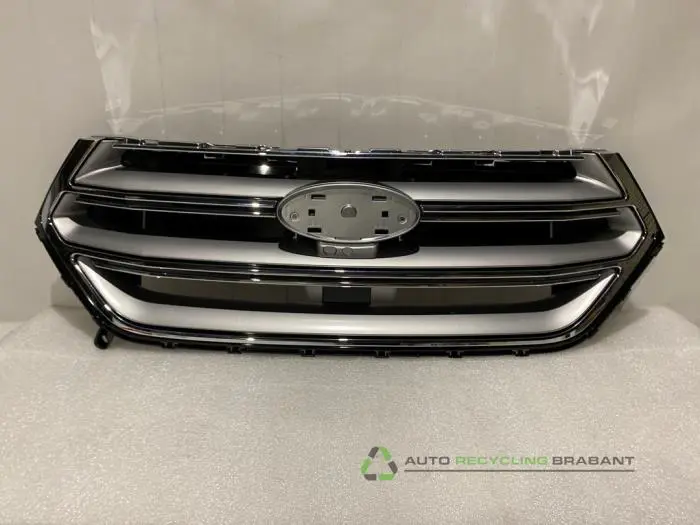 Grille Ford Edge
