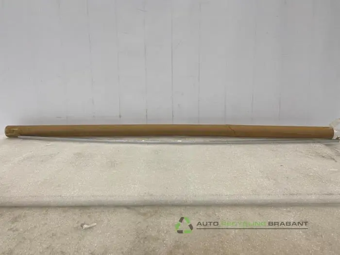 Zierleiste Mercedes S-Klasse