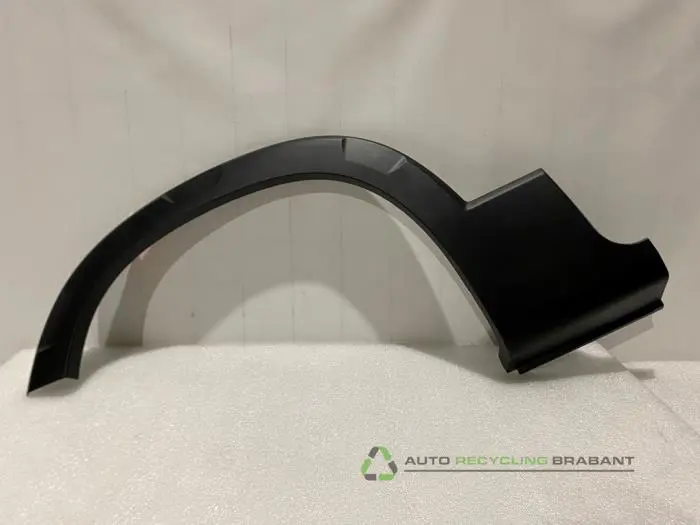 Spatbord Lijst Peugeot Rifter