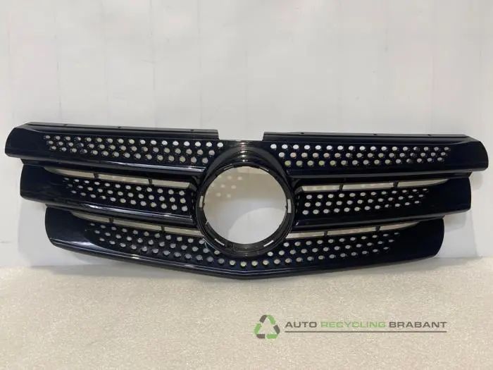 Grille Mercedes Vito
