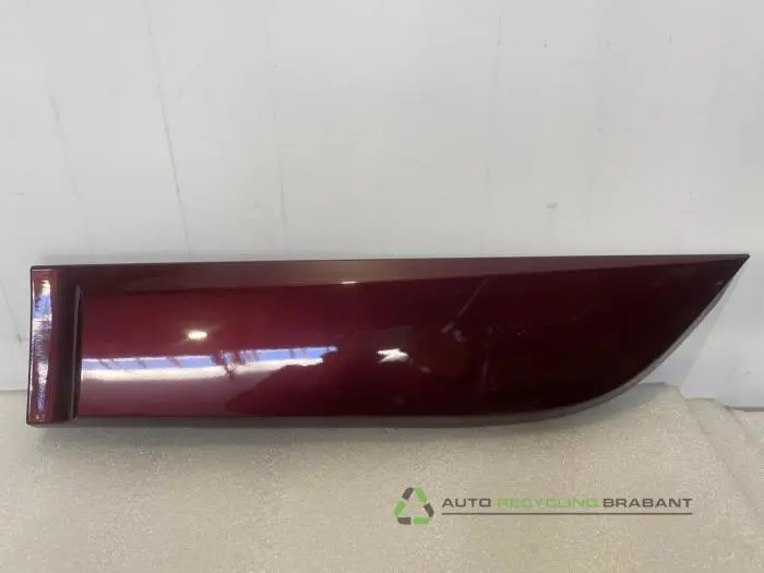 Zierleiste Renault Scenic