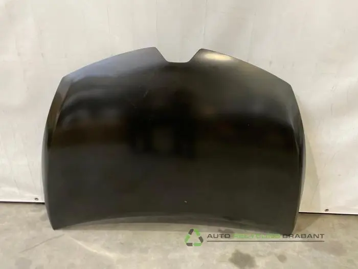 Motorkap Renault Clio