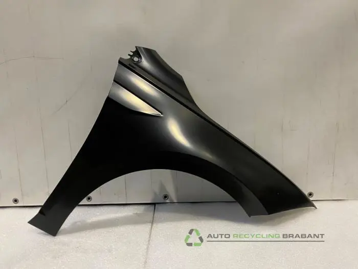 Scherm rechts-voor Volkswagen Polo