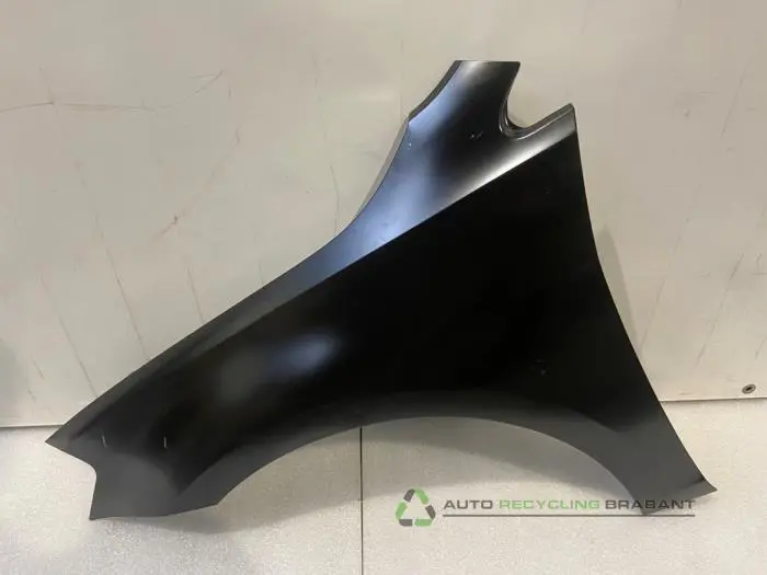 Scherm links-voor Volkswagen Golf