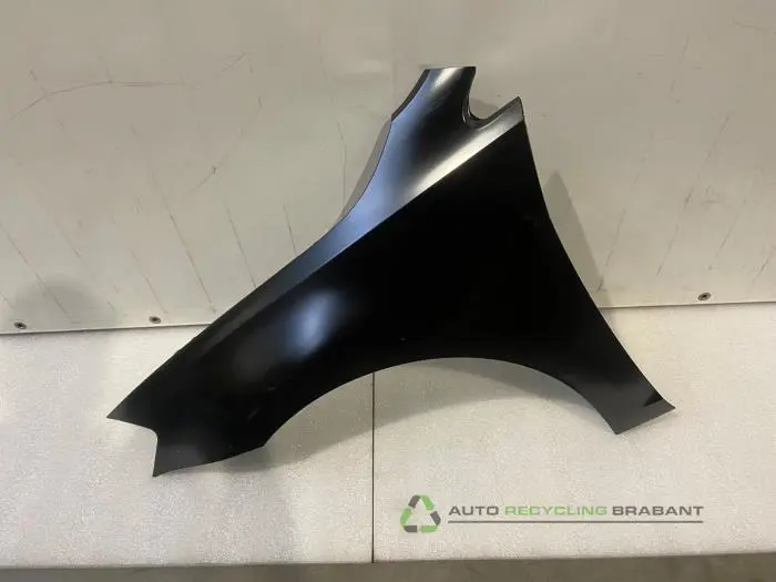 Scherm links-voor Volkswagen Golf