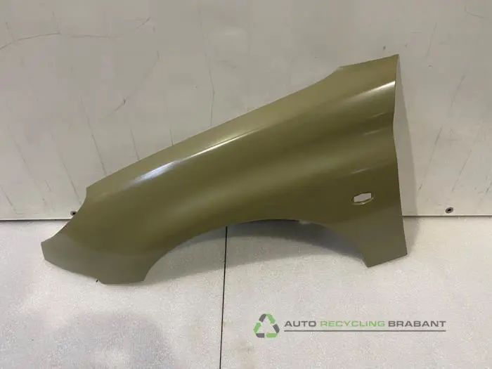 Scherm links-voor Peugeot 206