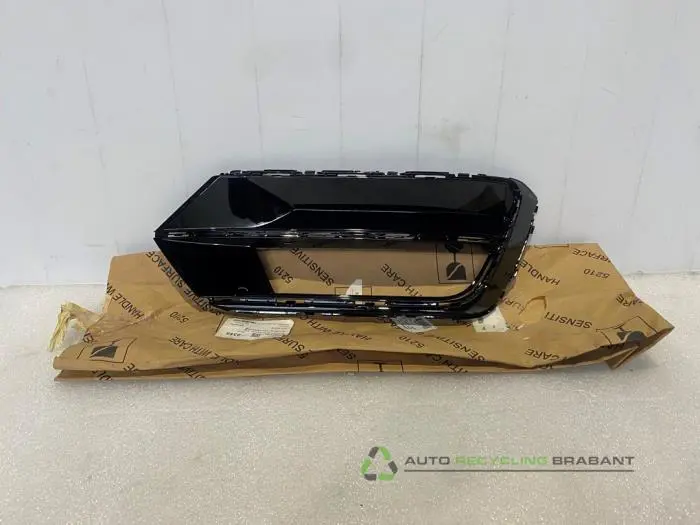 Stoßstangenrost Volkswagen Passat