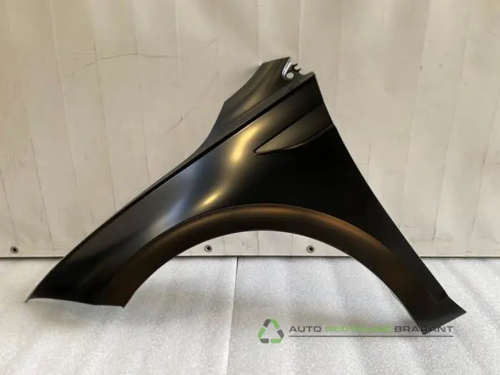 Scherm links-voor Volkswagen Polo