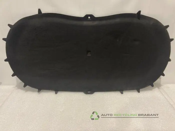 Motorkap Bekleding Volkswagen Tiguan