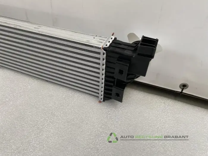 Intercooler - 3bc6a92f-5863-4bd8-8cfd-9366664ecdf4.jpg