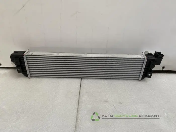 Intercooler - 8e02bbd7-4e02-44fd-bee3-a0b7926ace00.jpg