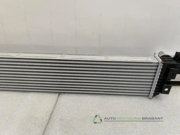 Intercooler - c2cf5282-550b-4a56-86be-b8cb830869fb.jpg