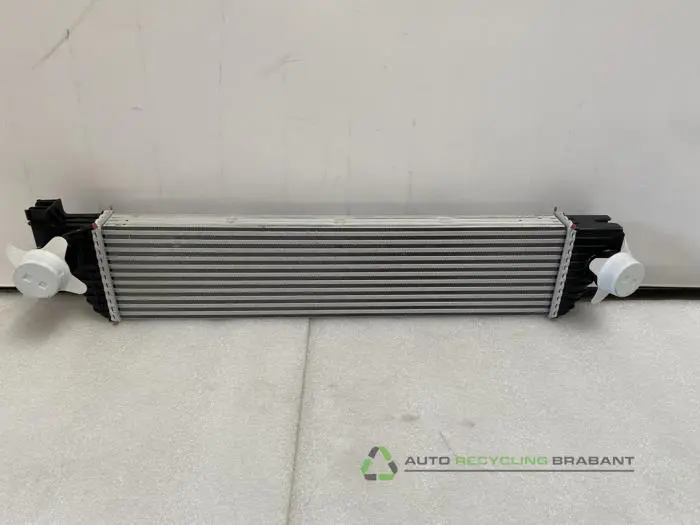 Intercooler - d1d01af2-1425-45ac-8af1-64a42c8ea612.jpg