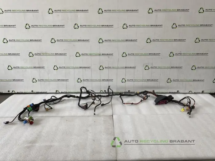 Kabelboom Porsche Macan