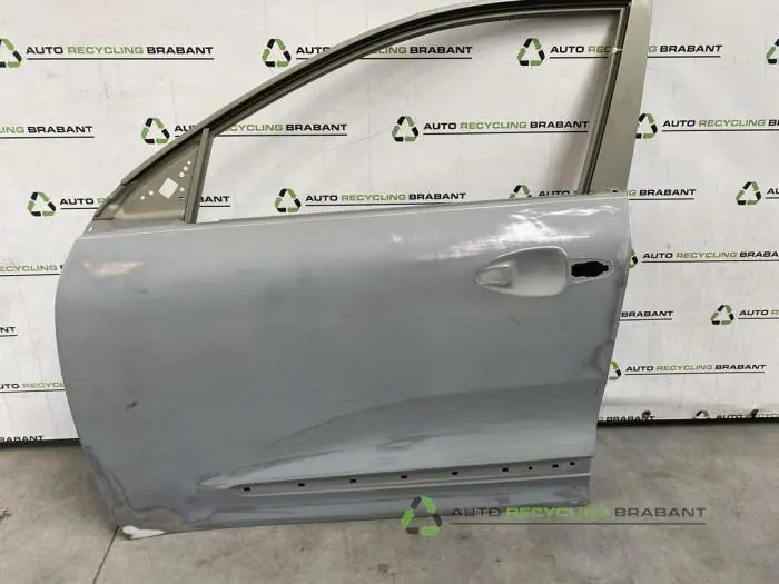 Portier 4Deurs rechts-voor Kia Niro