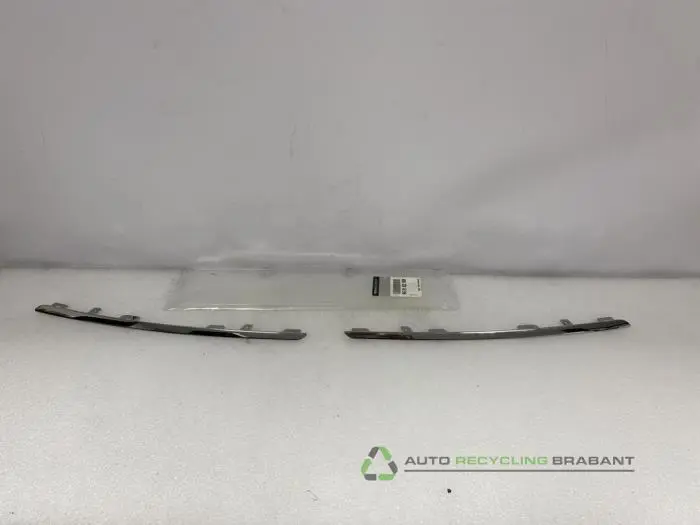 Zierleiste Renault Scenic