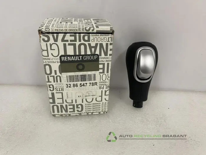 Pookknop Renault Clio