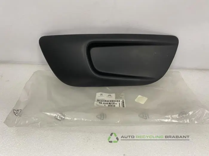 Stoßstangenrost Citroen C4 Picasso