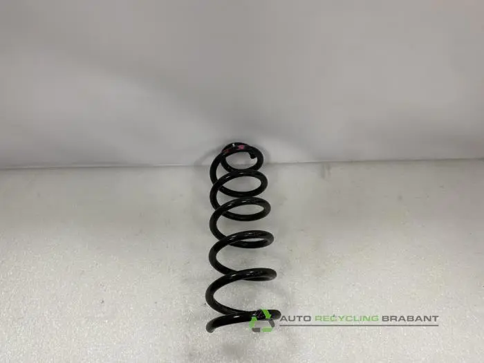 Schroefveer achter Dacia Sandero