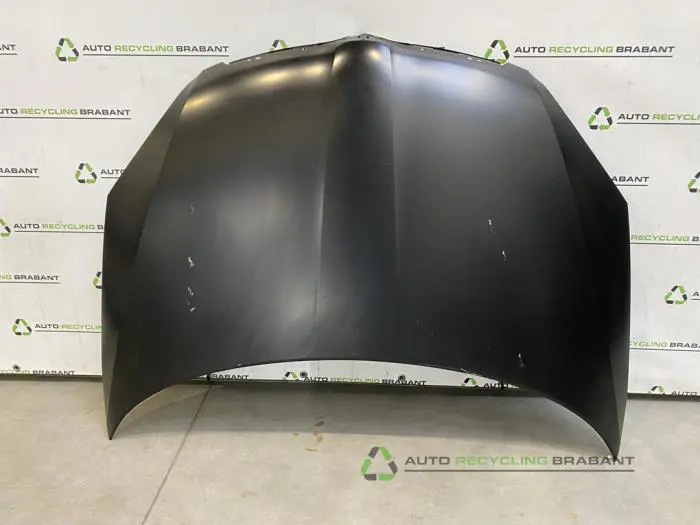 Motorkap Skoda Roomster