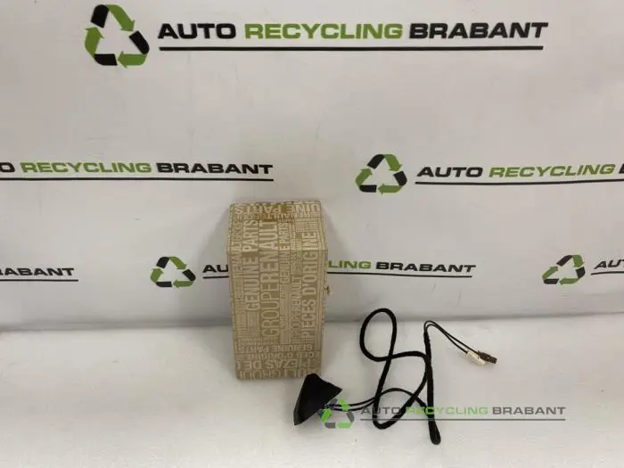 Antenne (diversen) Renault Zoe