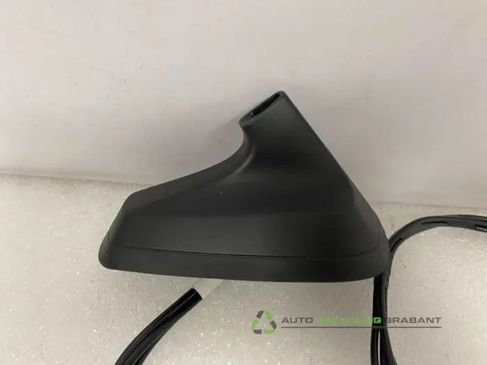 Antenne (diversen) Renault Clio