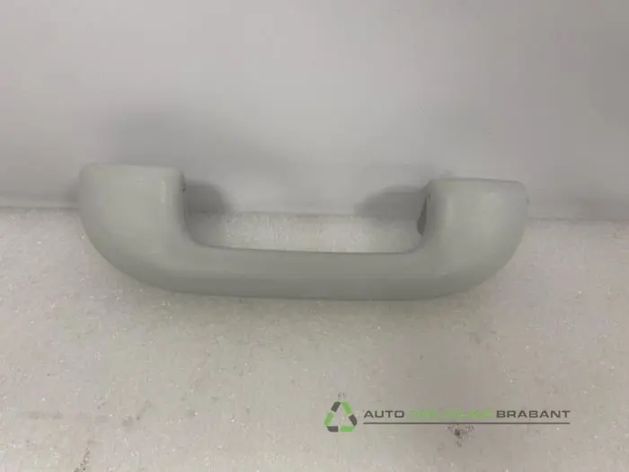 Handgreep Jeep Renegade