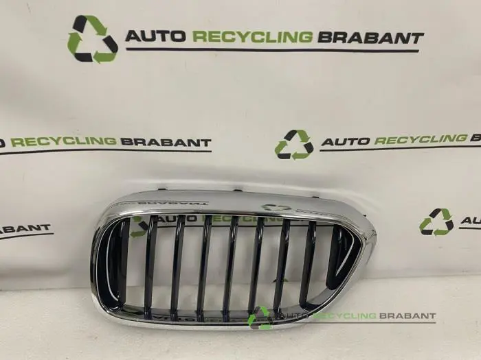 Grille BMW 5-Serie