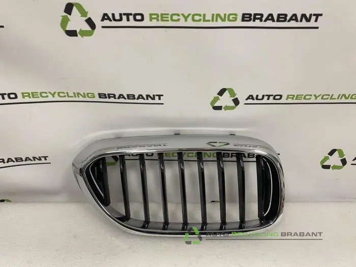 Grille BMW 5-Serie