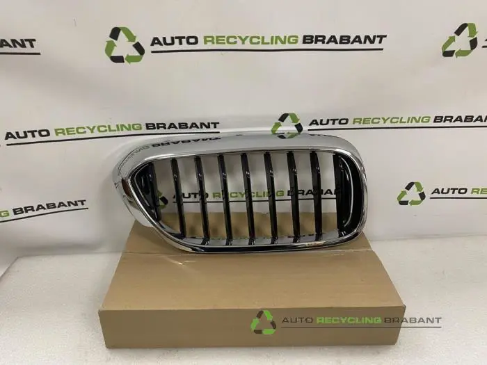 Grille BMW 5-Serie