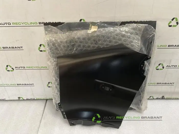 Scherm links-voor Renault Master