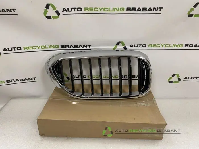 Grille BMW 5-Serie