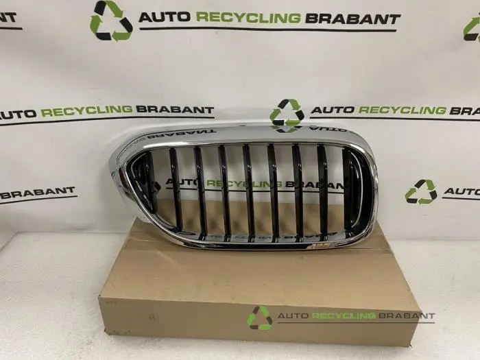 Grille BMW 5-Serie