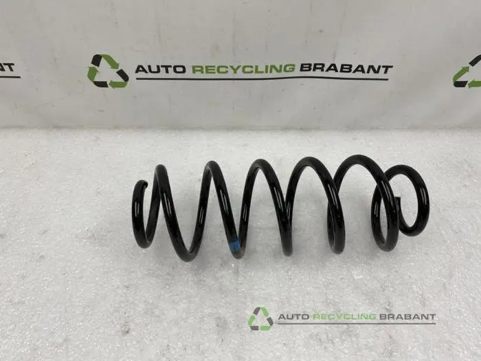 Veerschroef voor Volkswagen Beetle