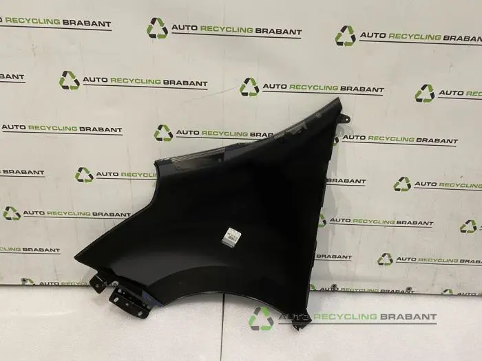 Scherm rechts-voor - b08597d3-00a1-4791-890f-3386401da87c.jpg