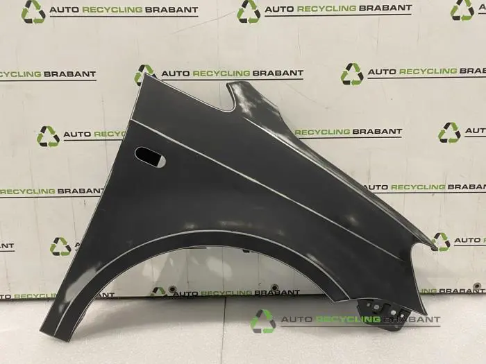 Scherm rechts-voor Volkswagen Caddy