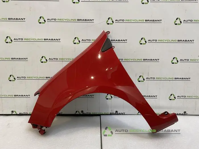 Scherm links-voor Renault Clio