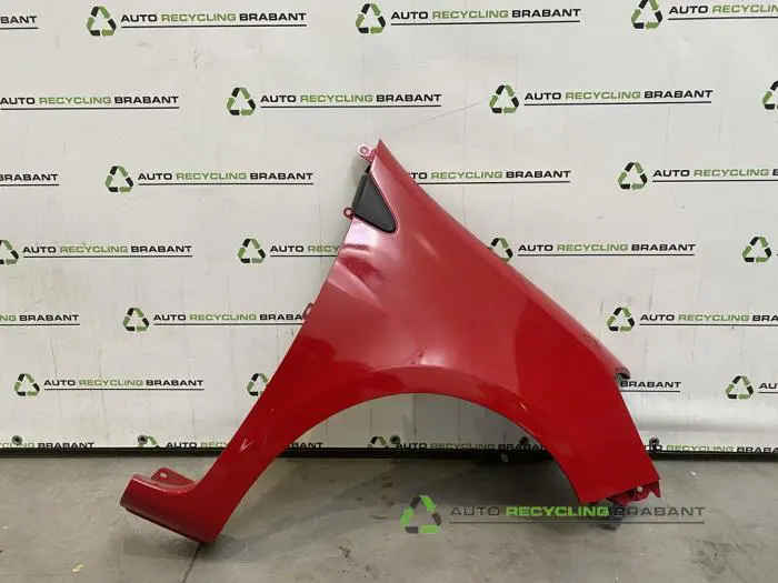 Scherm rechts-voor Renault Clio