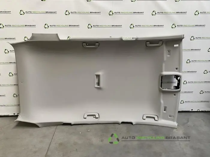 Dachverkleidung Skoda Enyaq IV