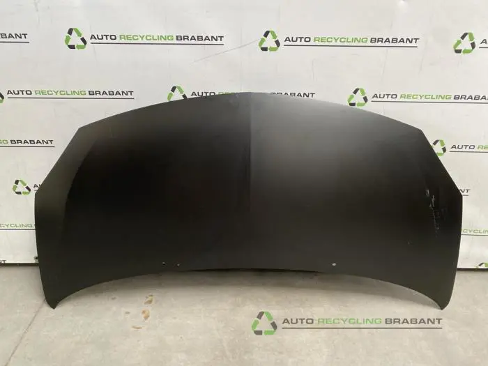 Motorkap Renault Twingo