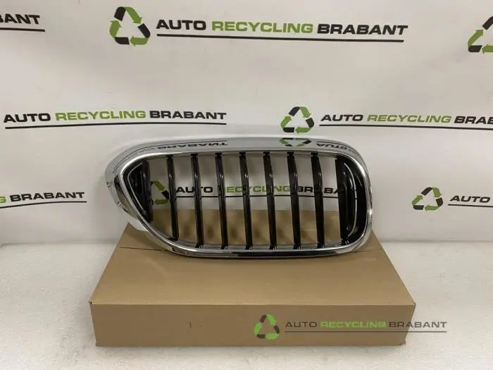 Grille BMW 5-Serie