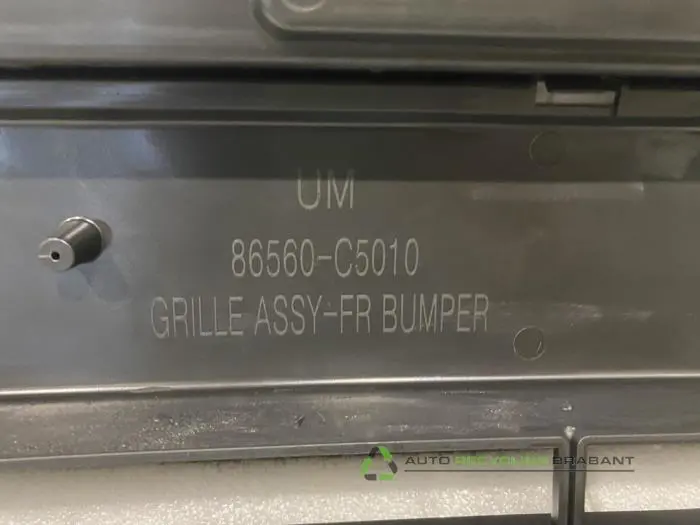 Grill - 3459a043-615b-4768-801d-12e4b974fa10.jpg