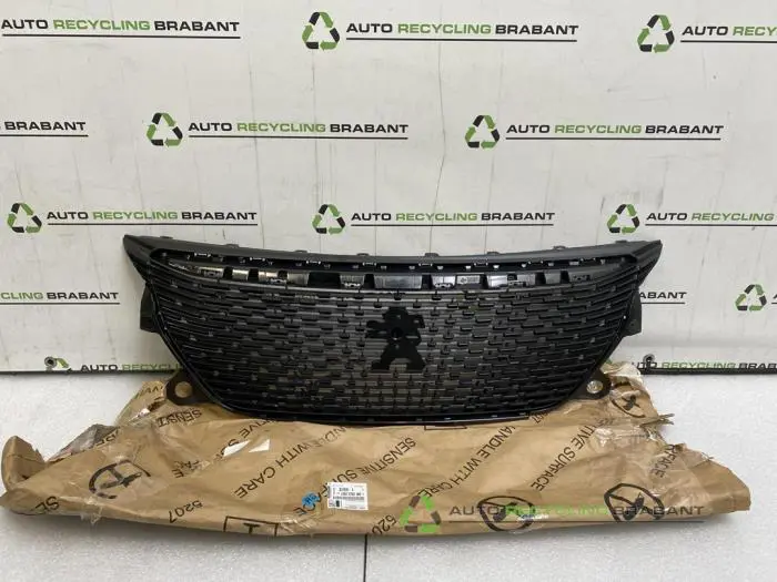 Grille Peugeot 2008