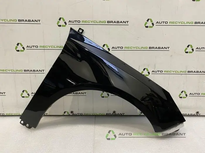 Scherm rechts-voor Ford Focus