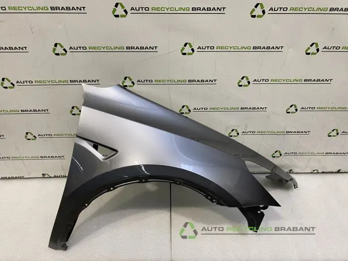 Scherm rechts-voor Tesla Model Y