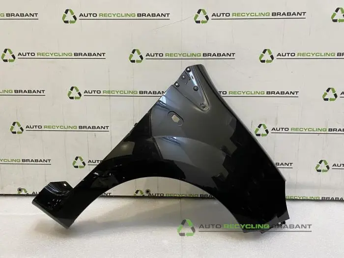 Scherm rechts-voor Renault Twingo